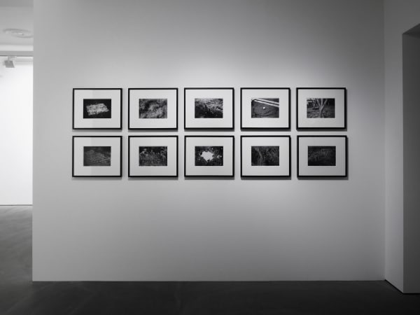 Suga Kishio 201900002