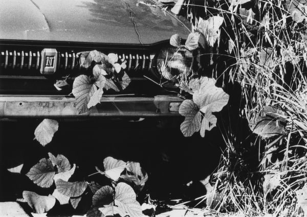 1980S 1000 Nakahira Takuma Untitled 1980S From Takuma Nakahira 1000 4