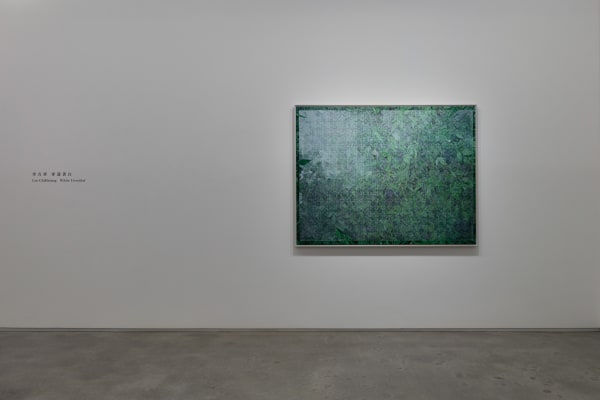 2024 Lee Chihsiang White Unveiled 2