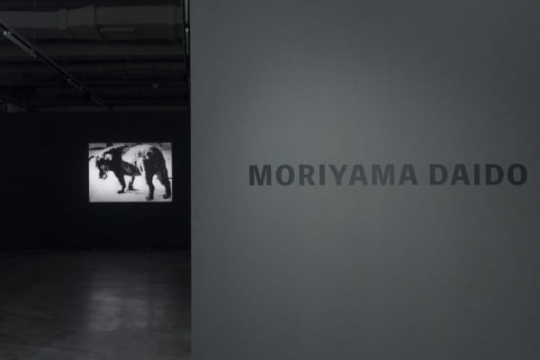 Moriyama Daido - Light Comes Again, 森山大道 - Light Comes Again