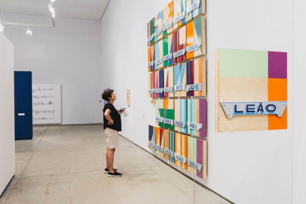 Froiid. Boi de Piranha. Instituto Inhotim. Foto: Daniela Paoliello