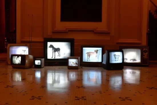 Institutional Exhibition: Retro/ativa