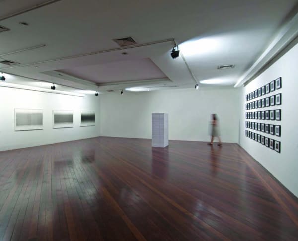 Isaura Pena. Exposição coletiva Geometria Impura. Centro de Arte Hélio Oiticica. 2010