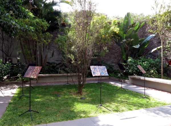Concerto para Cerejeira de Laura Belém. Projeto Deck da Casa de Cultura do Parque São Paulo. Foto: Laura Belém