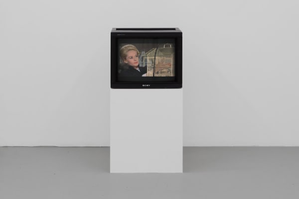 THE BIRDS Day by Day, Good Day (curated by Ted Targett) Union Pacific UK, 2023 Photo courtesy of the gallery
