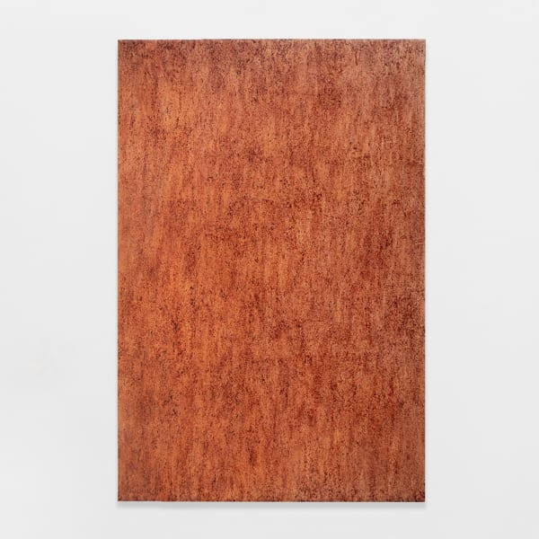 Garrett Pruter, 500 Photos of Fire, 2021, Brigade Gallery.