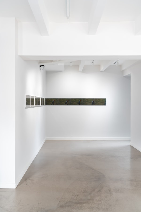 Garrett Pruter I The Birds