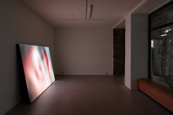 Davide Hjort Di Fabio I Zoom