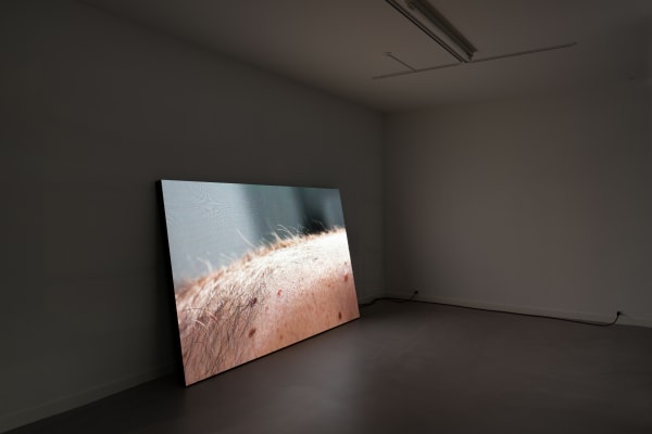 Now open I Davide Hjort Di Fabio I Zoom, Davide Hjort Di Fabios exhibition Zoom, featuring works by Niels Nedergaard,...