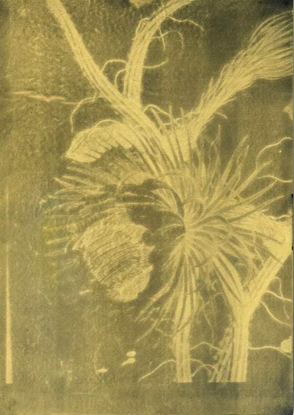 Nick Fox Love's Sign 7, 2012 Gold dust on carbon paper Work 29.7 x 21 cm Framed on and under museum glass 40.2 x 30.1 cm Series: Love's Sign Signed and dated verso