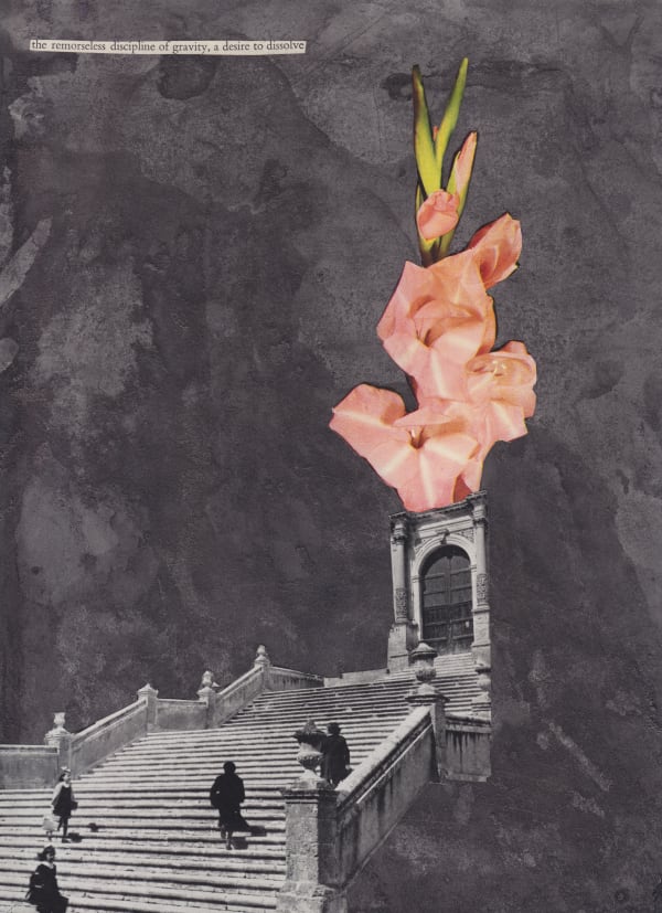 Andrew Hewish, The remorseless discipline of gravity, the desire to evolve, 2014