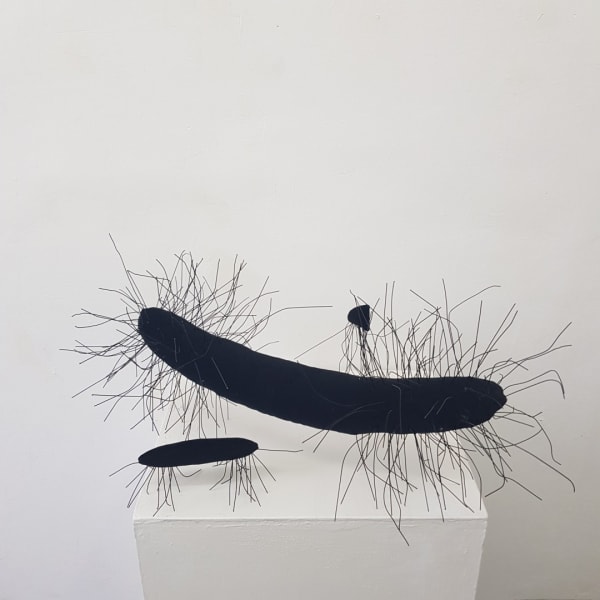 Rosemarie McGoldrick Zoic I, 2024 Velvet and wire Ensemble of three small pieces Various Signed certiificate