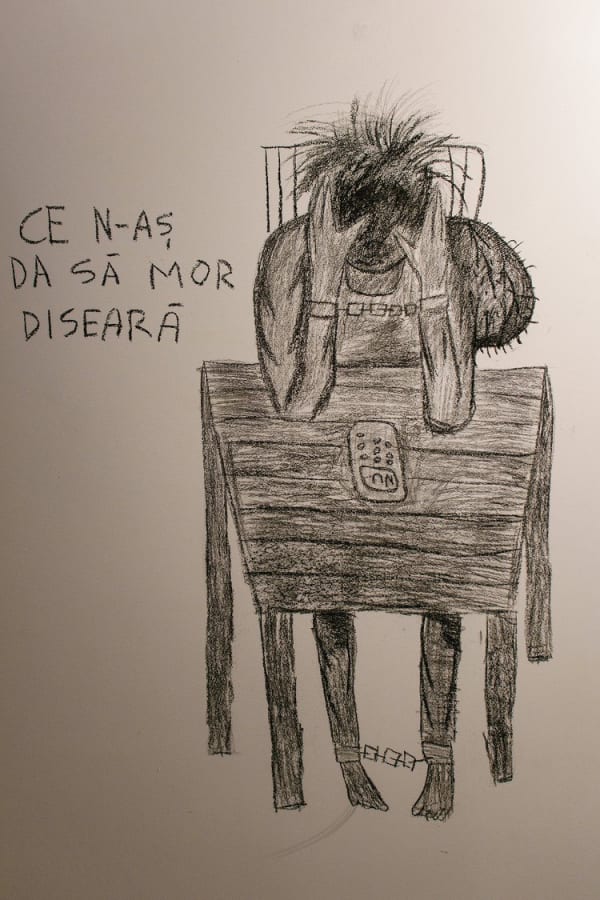 29133359 1640153652718930 4316437137433034752 N