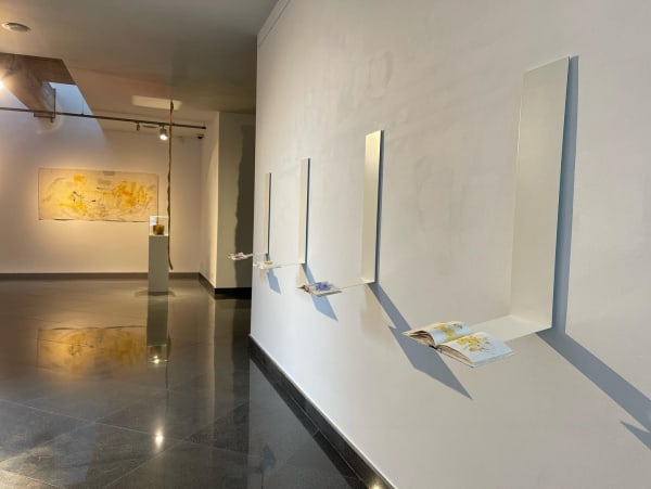 307660510 528016409326511 8114297791502549212 N