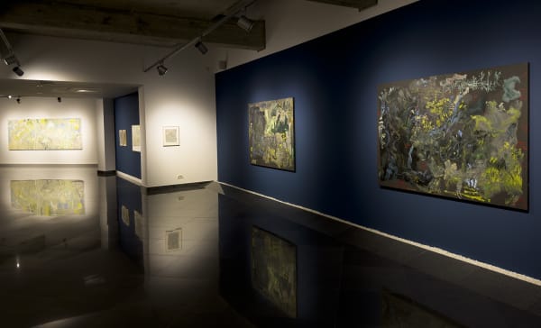 Cflondor Inghicitura Jecza Jeczagallery