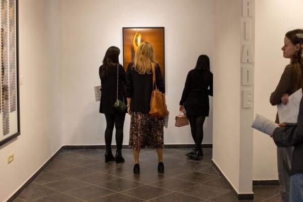 Jeczaprojects Focul 20232