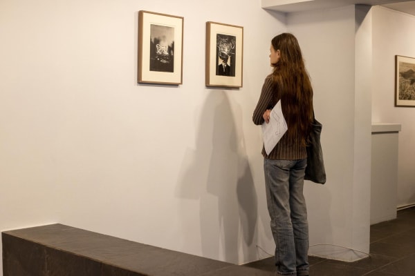 Jeczaprojects Focul 20233