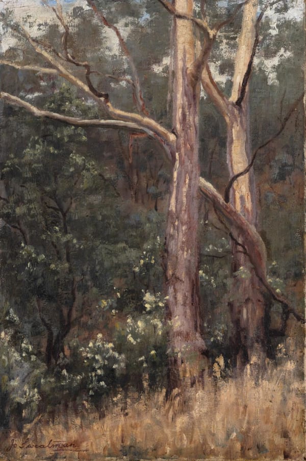 Jo Sweatman, (Summer blue gums)