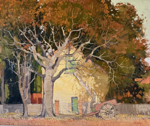 Herbert Reginald Gallop, Flame tree