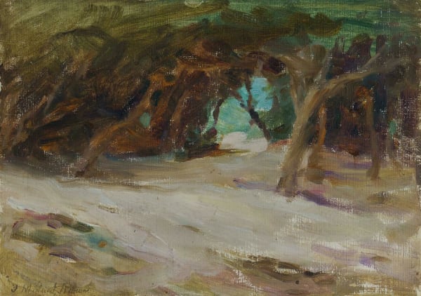 Josephine Muntz-Adams - (View through the ti-trees)