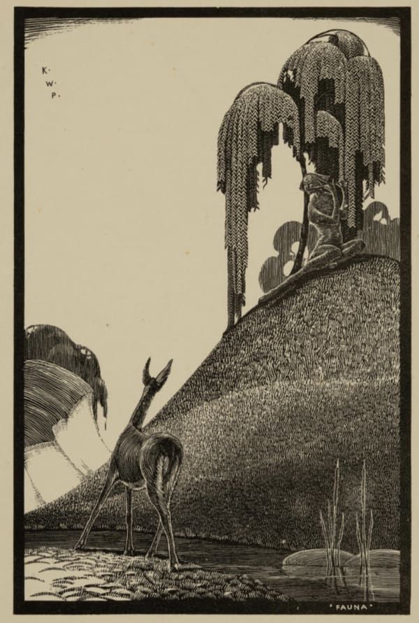 Klytie Pate, Fauna
