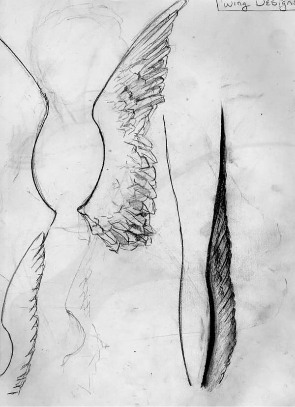 Wings Drawing 1 Retouched