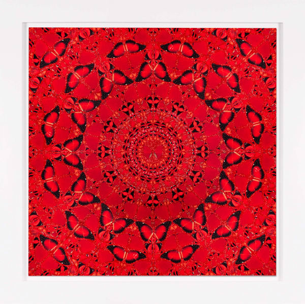 The Empresses by Damien Hirst