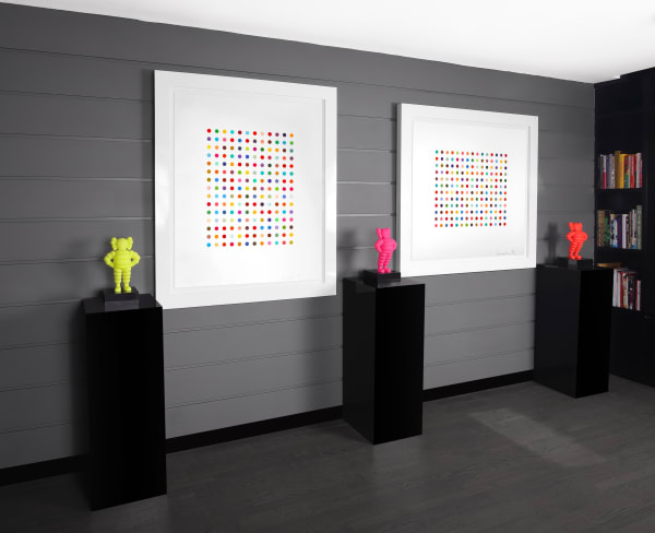 Ethidium Pyronin Duo Install