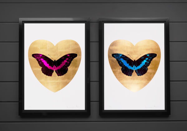 Duo Turq Fuchsia Ily Butterfly