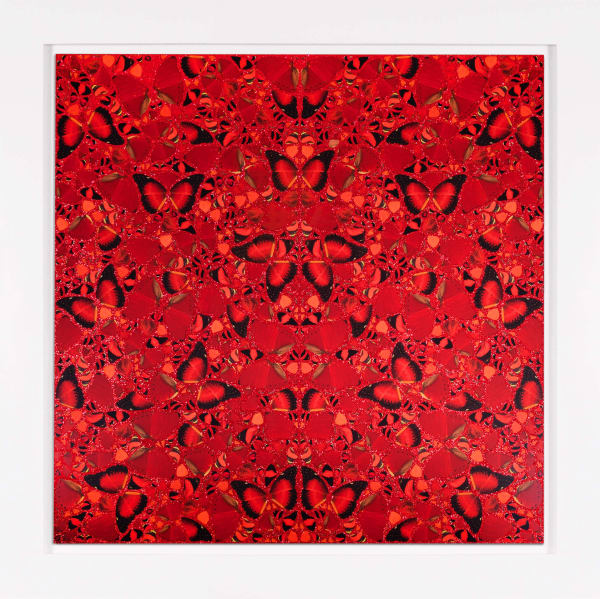 Theodora Mock Main Cc White