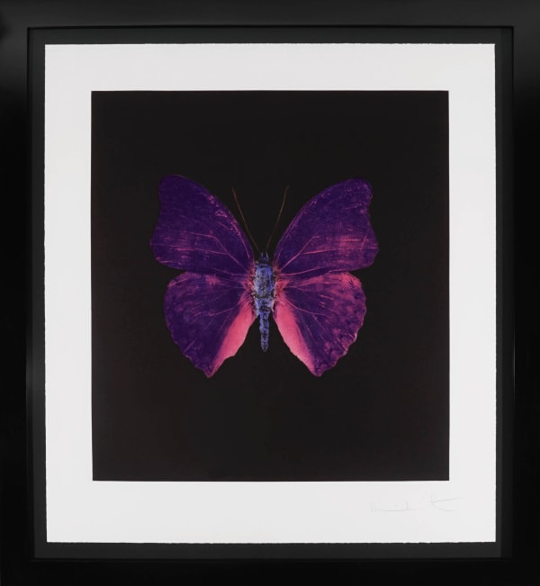 Damien Hirst, 'Butterfly Soul' Violet, Etching, 2007
