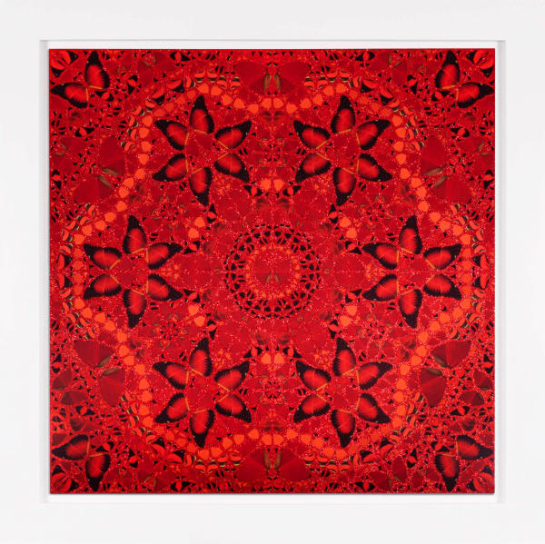 Wuzetian Mock Main Cc White