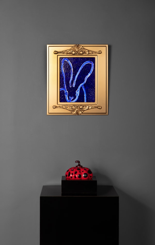 Bluebunnydiamonddust Install2