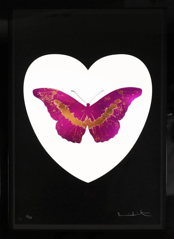 Fuchsia Butterfly Cc Recovered