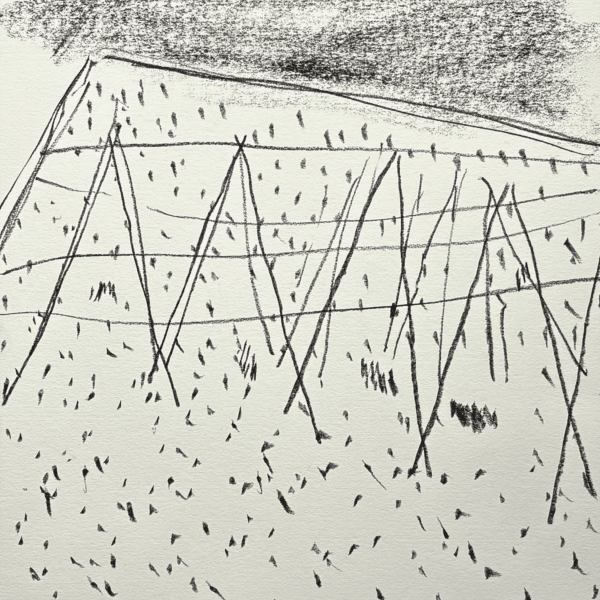 Icelandic En Plein Air Speed Drawing 20 5