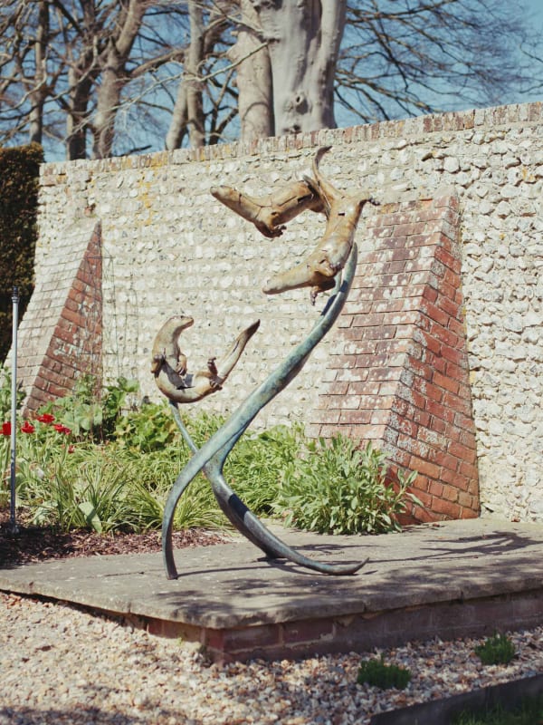 Fred Gordon Diving Otters