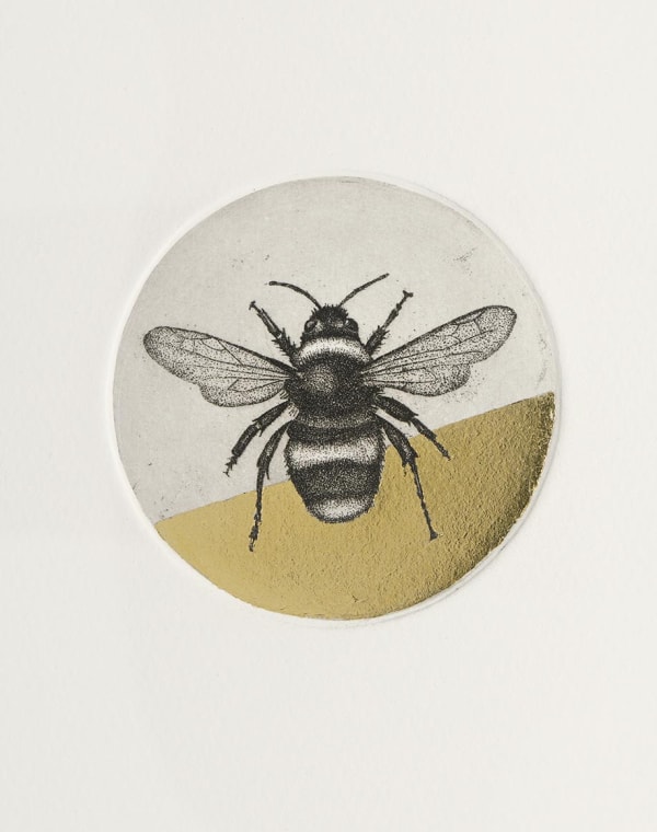 Guy Allen Fur, Feathers & Feelers