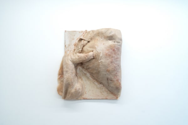 ntrakorporal, 2022 wax, textile, wood, plaster 110 x 120 x 45 cm