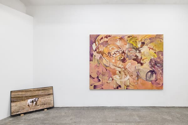 Kaifan Wang Bull Washer