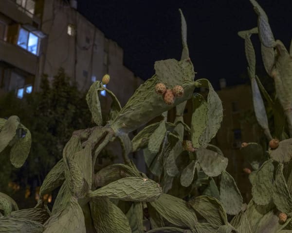 TRISTIA | אבן