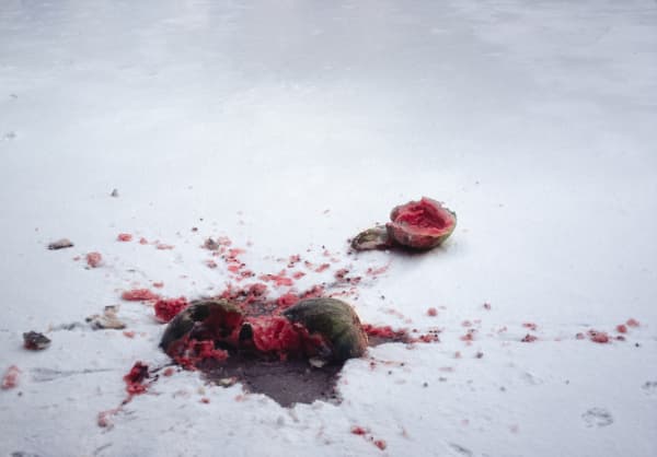 Isaac Babel Makhno's Boys