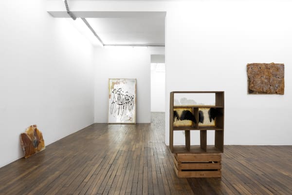 Exhibition view, Bri Williams, Mock Serenade at Dvir Gallery, Paris, 2023. Photo: Axel Fried