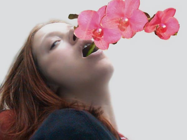 Miri Segal, Necrofleur, 2003, c-print mounted on D-bond, 95 x 120 cm, edition of 3