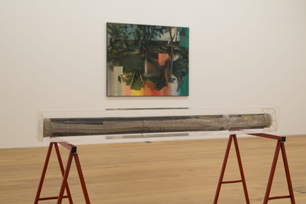 David Maljkovic, In the Pictorial Code, exhibition view, 2023. Photo: Hrvoje Franjic