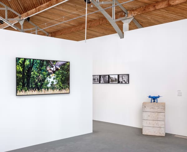 "Dans l'air, les machines volantes" au Hangar Y, Commissariat : Art Explora, Marie-Laure Bernadac and Blanche de Lestrange, © Luc Boegly