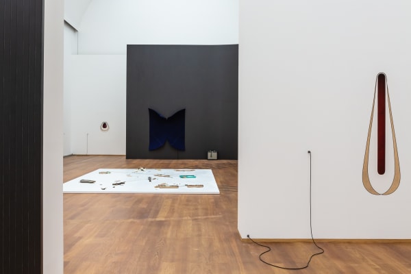Exhibition view 'Estuaries' , 2024, Hamburger Bahnhof ©Laura Fiorio