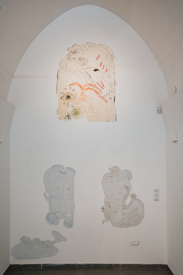 Aysha E Arar, Amphibia, exhibition view