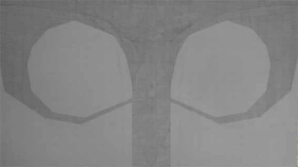 Source 源头, Lore Vanelslande 洛尔·梵埃丝兰德, 2008, Chinese ink on canvas 布面中国水墨, 100 × 180 cm