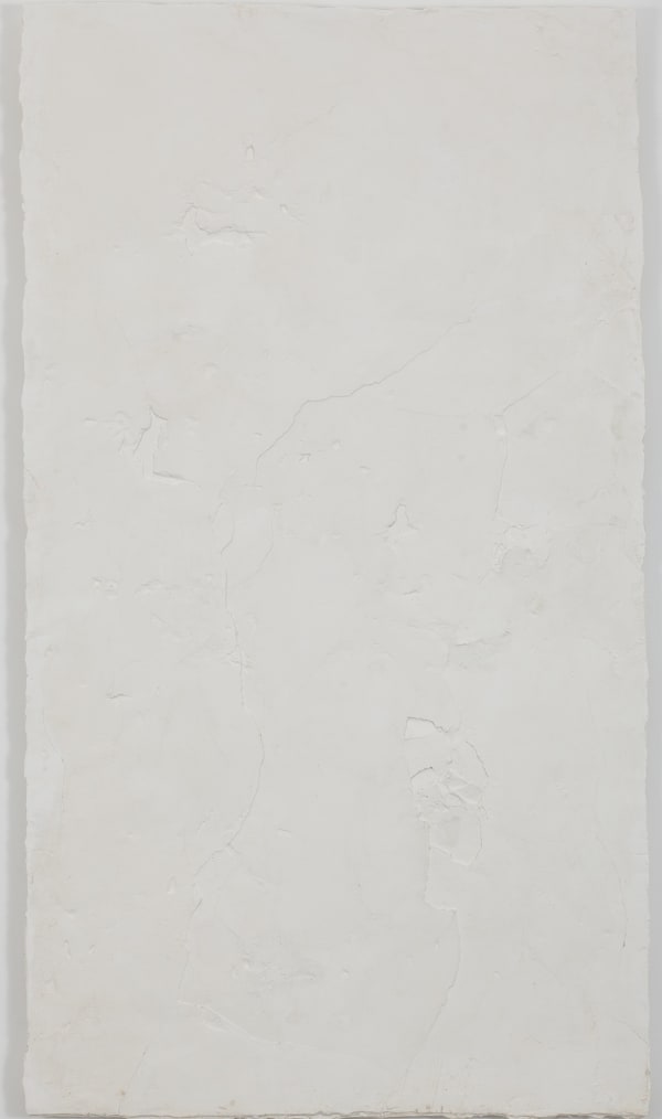 Portrait of the Wall 13 墙的肖像 13, SU Chang 苏畅, 2014, Polymerized plaster, plant fibre, and glue石膏,植物纤维,胶, 156 × 86.5cm
