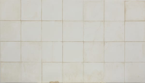 Portrait of the Wall 9 墙的肖像 9, SU Chang 苏畅, 2013, Polymerized plaster,plant fibre,rust and mineral paint 石膏,植物纤维,铁锈和矿物颜料, 60 × 105.5cm